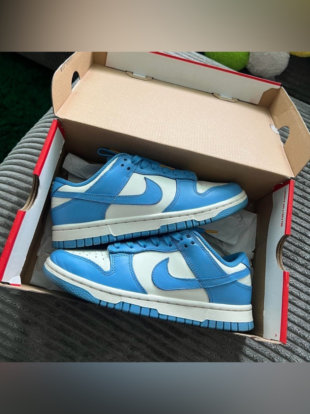Nike dunk low coast💓